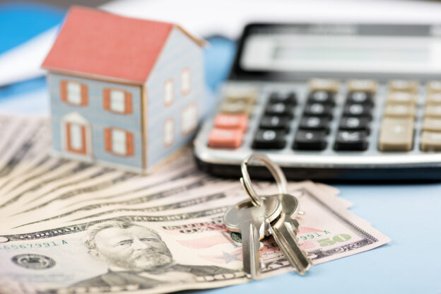 Tax delinquent US home owners